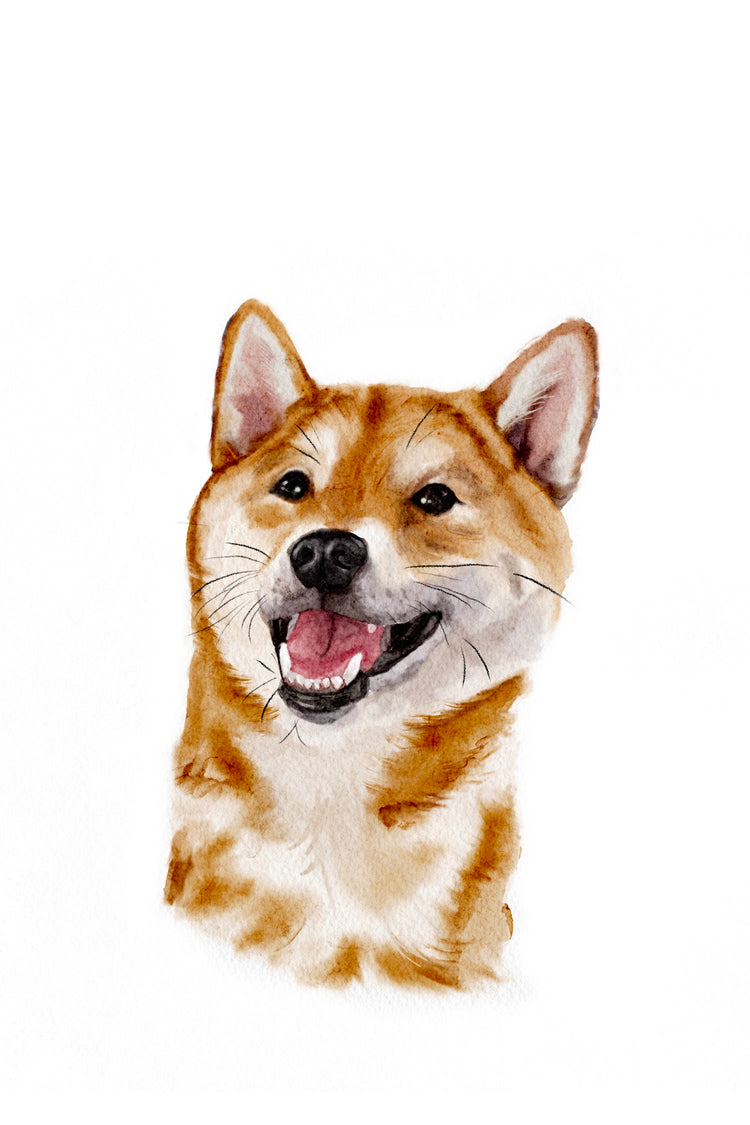Digital Watercolour Pet Portrait (digital download)