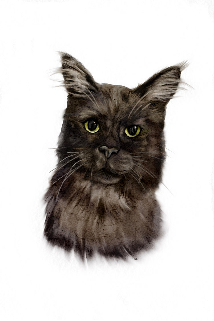 Digital Watercolour Pet Portrait (digital download)