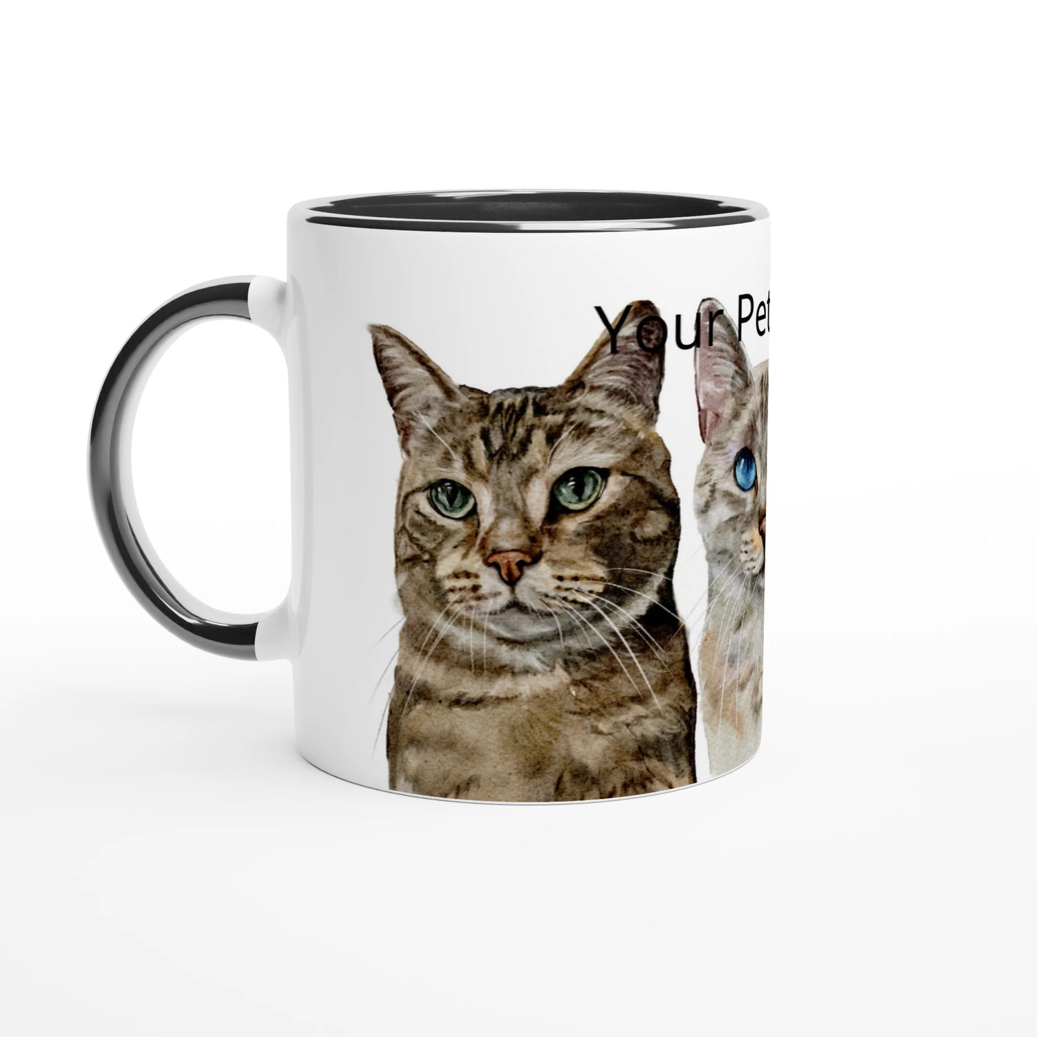 70e9c2cc-59a2-4e59-9eb9-f857a474036e