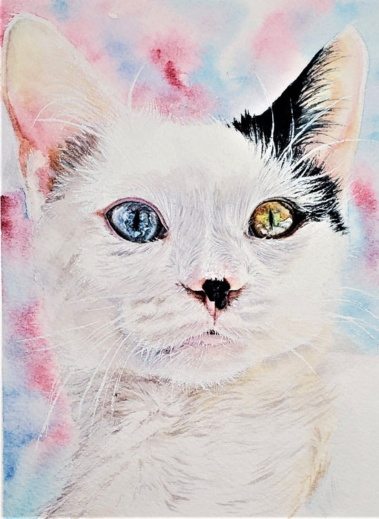 Custom watercolour cat portrait, dreamy abstract background, pink blue clouds