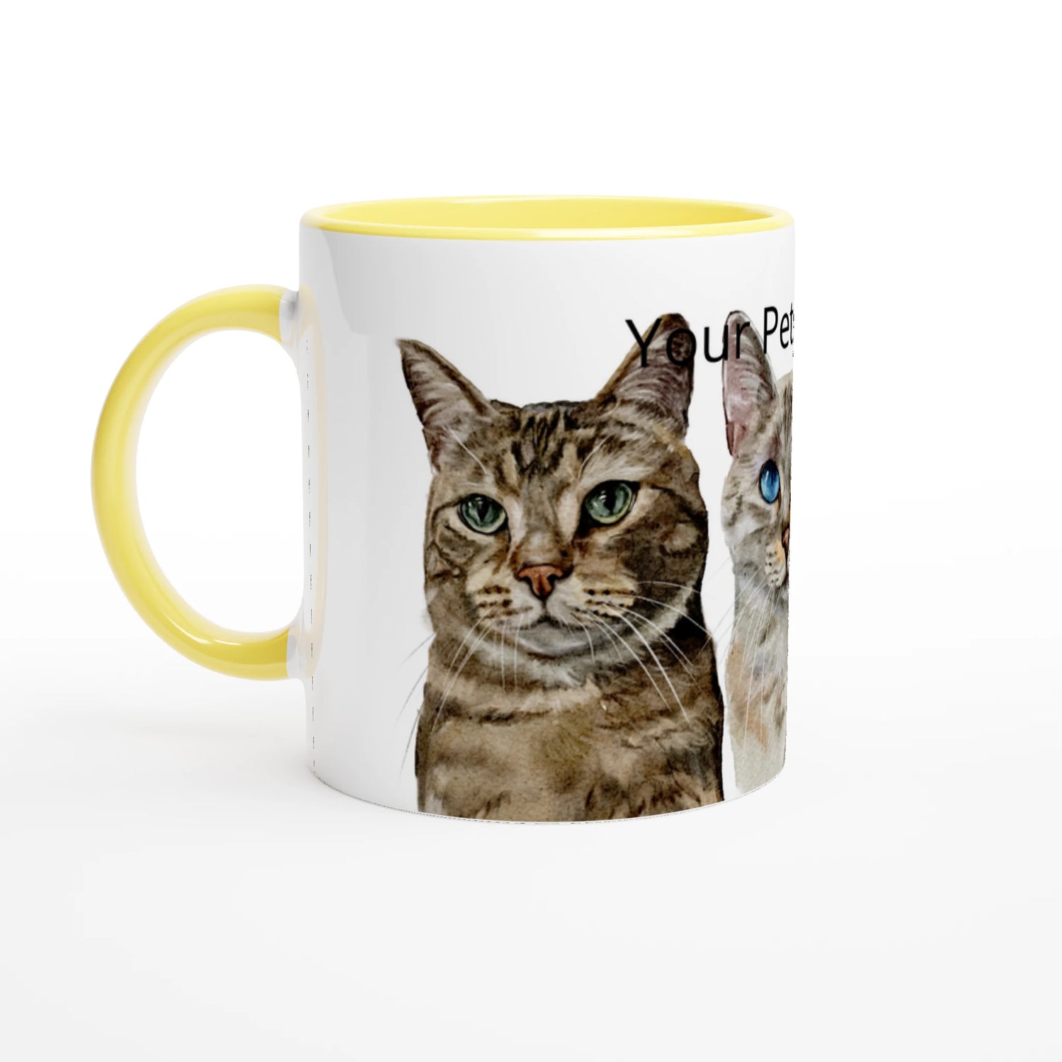 ee70de91-6383-482d-ae27-a87a1de87b22